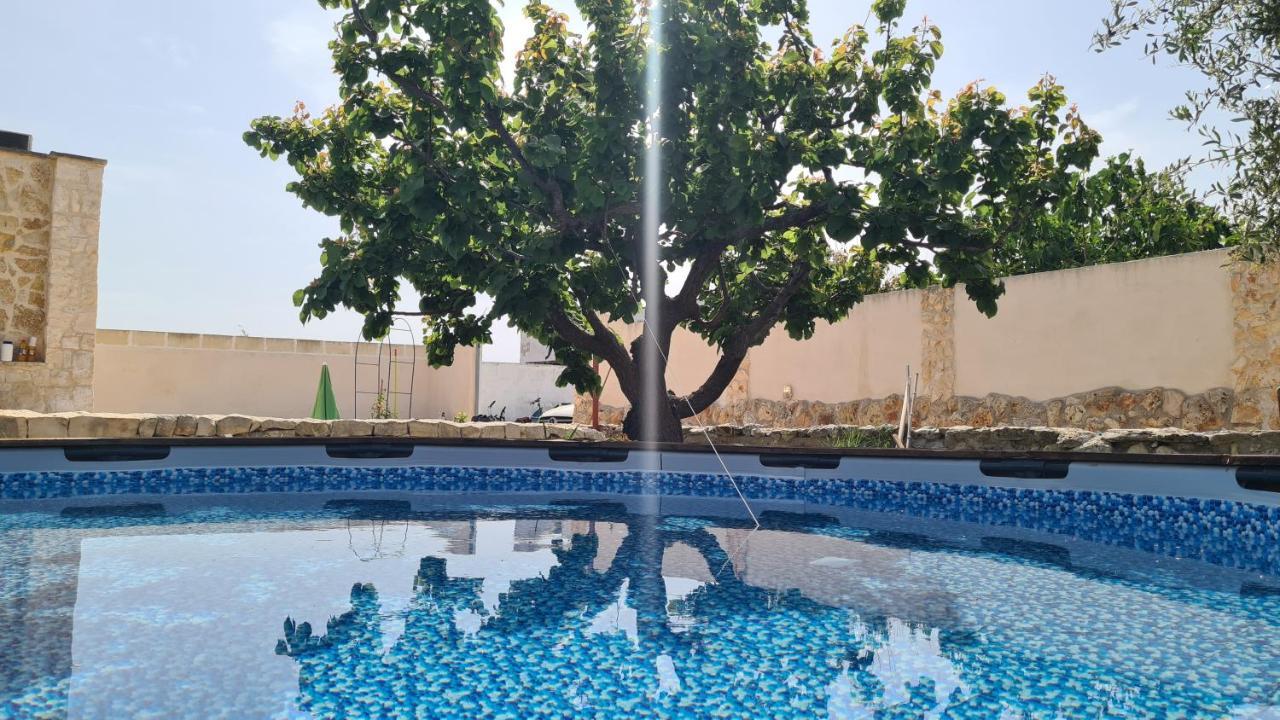 Musa Balbisiana Casa Citrus Holiday home *